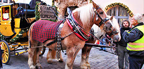 CHristmas river cruise on the Danube. This is Nuremberg durign Christmas markets river cruise